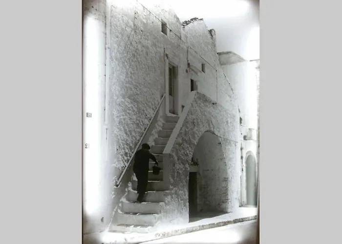 Casa Del Maestro